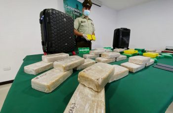 Decomisan más de 400 millones en cocaína y pasta base en ingreso norte a la región